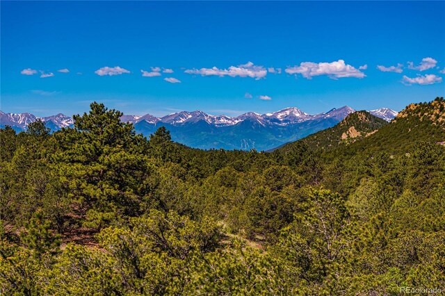 Bear Peak Rd, Westcliffe, CO 81252