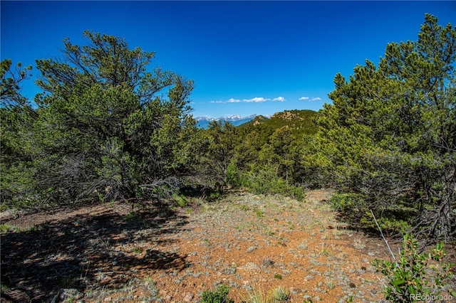 Bear Peak Rd, Westcliffe, CO 81252