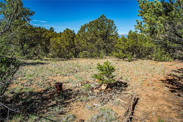 Bear Peak Rd, Westcliffe, CO 81252