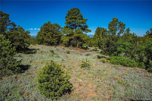 Bear Peak Rd, Westcliffe, CO 81252