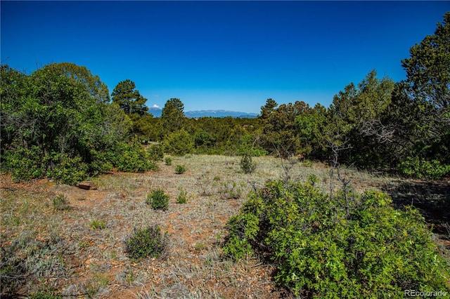 Bear Peak Rd, Westcliffe, CO 81252