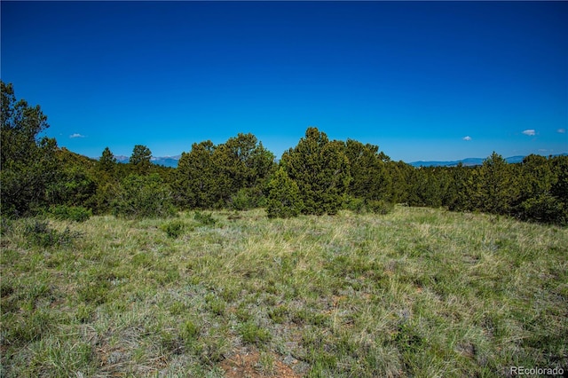 Bear Peak Rd, Westcliffe, CO 81252
