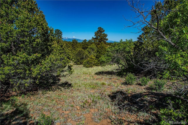 Bear Peak Rd, Westcliffe, CO 81252
