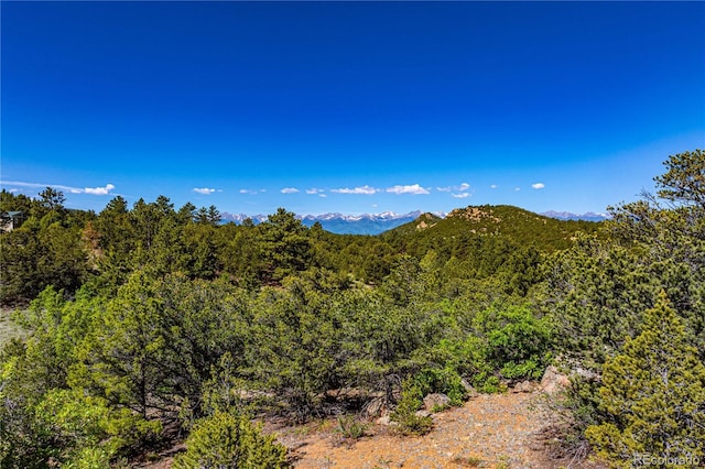 Bear Peak Rd, Westcliffe, CO 81252