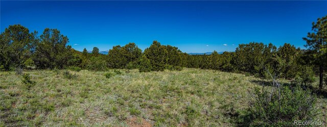 Bear Peak Rd, Westcliffe, CO 81252