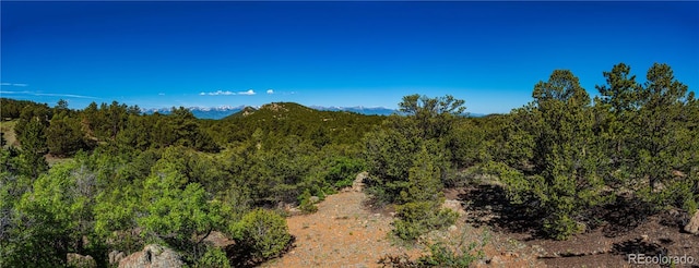 Bear Peak Rd, Westcliffe, CO 81252