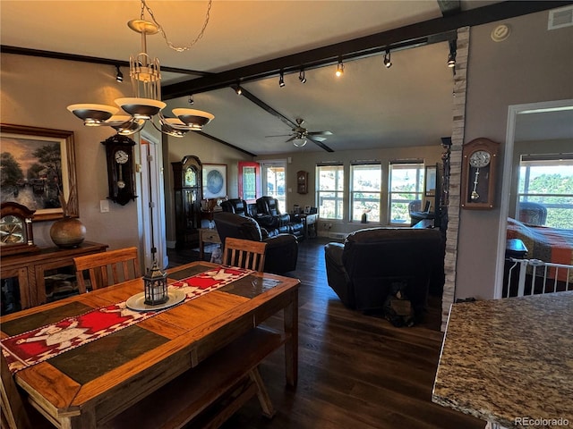 dining room featuring dark hardwood / wood-style floors, a healthy amount of sunlight, rail lighting, and ceiling fan