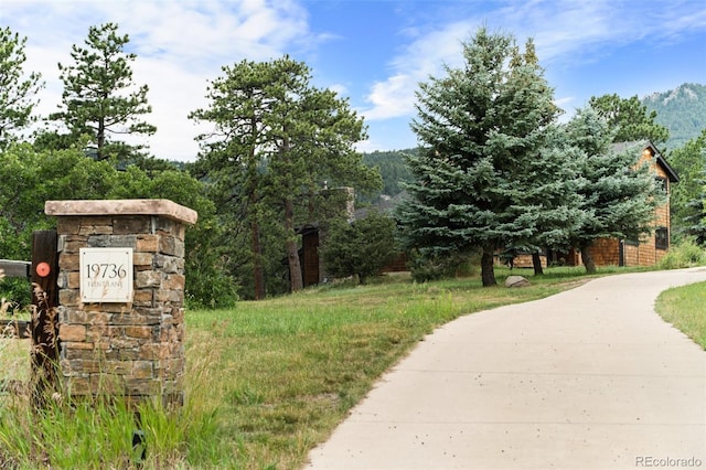 19736 Flint Ln, Morrison, CO 80465 - photo 3