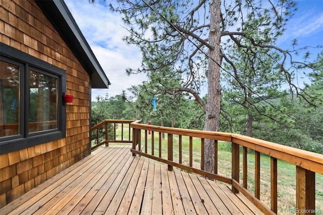 19736 Flint Ln, Morrison, CO 80465 - photo 17