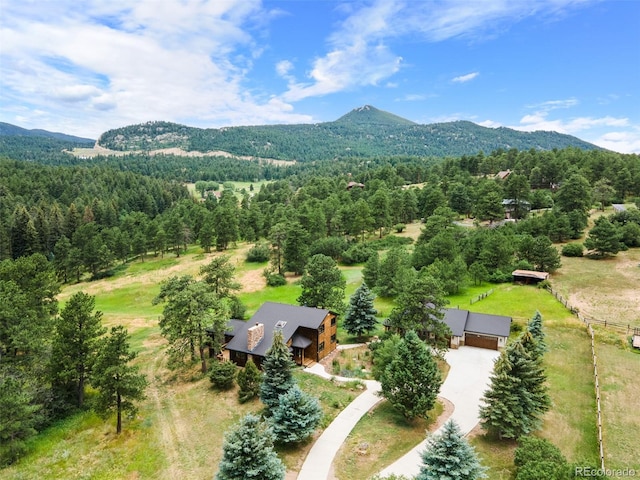 19736 Flint Ln, Morrison, CO 80465 - photo 42