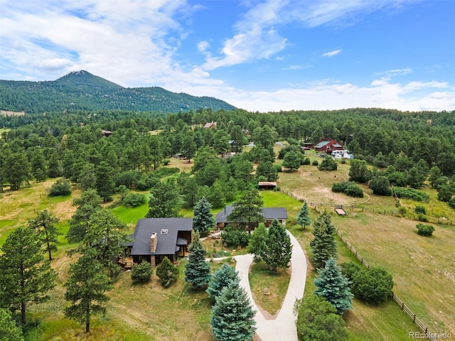 19736 Flint Ln, Morrison, CO 80465 - photo 43
