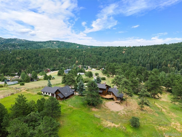 19736 Flint Ln, Morrison, CO 80465 - photo 47