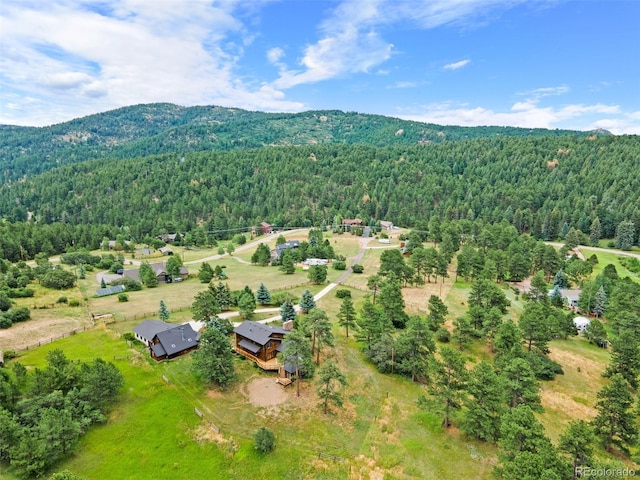 19736 Flint Ln, Morrison, CO 80465 - photo 48