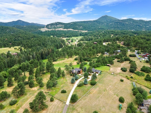 19736 Flint Ln, Morrison, CO 80465 - photo 49