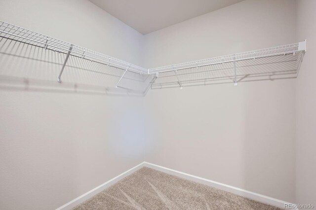 127 Robin Rd, Johnstown, CO 80534 - photo 17