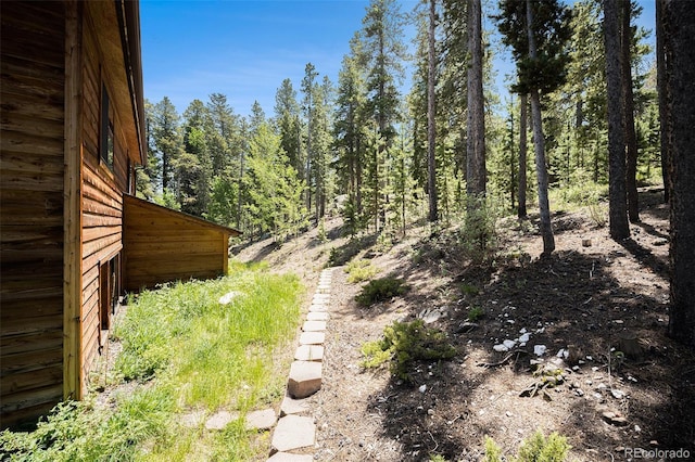 5 Ronnie Rd, Golden, CO 80403 - photo 25