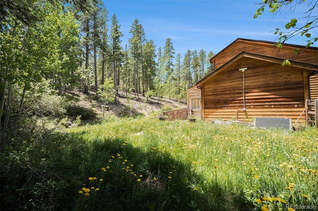 5 Ronnie Rd, Golden, CO 80403 - photo 4