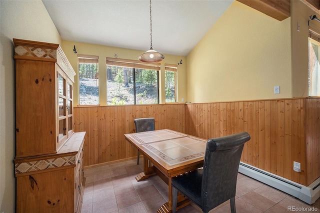 5 Ronnie Rd, Golden, CO 80403 - photo 10