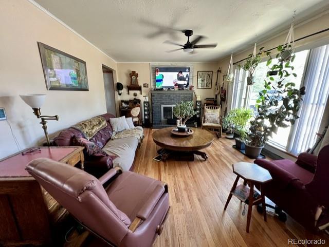 1226 25th St, Greeley, CO 80631 - photo 4