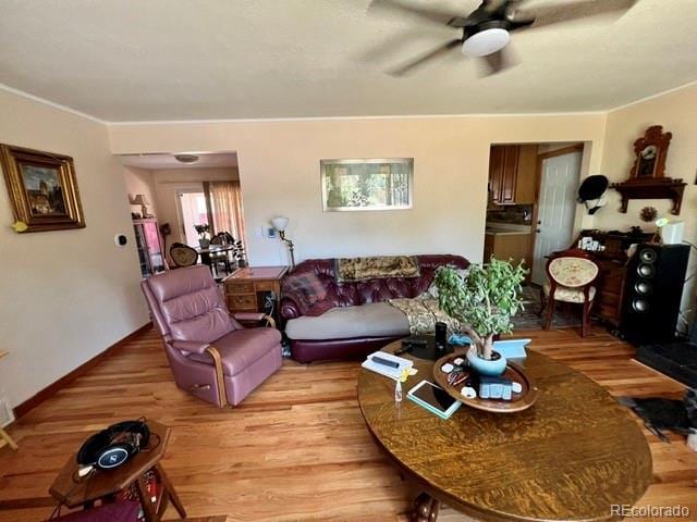 1226 25th St, Greeley, CO 80631 - photo 7