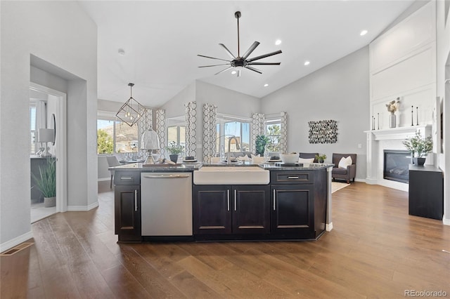 kitchen featuring dark wood finished floors, stainless steel dishwasher, open floor plan, a sink, and dark cabinets