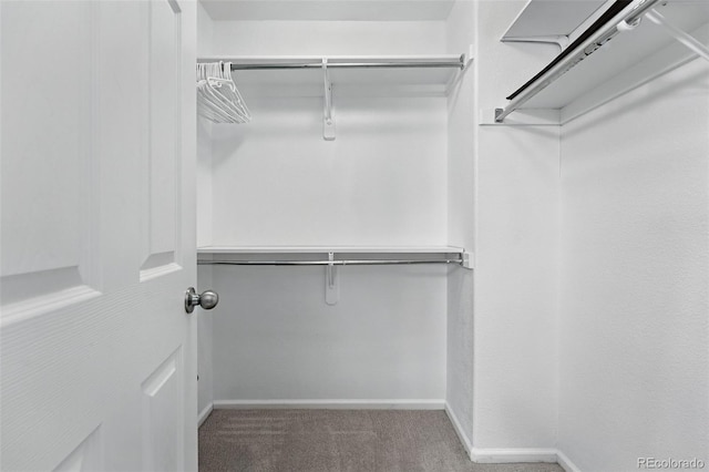 10010 E Gunnison Pl Unit 707, Aurora, CO 80247 - spacious closet with carpet floors