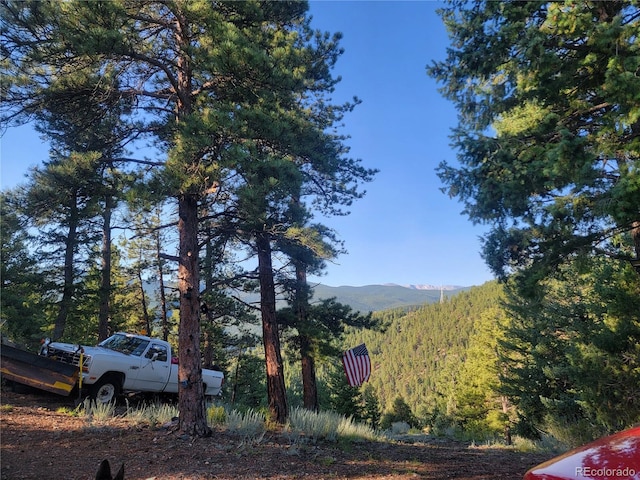 Listing photo 2 for 000 Raven, Idaho Springs CO 80452