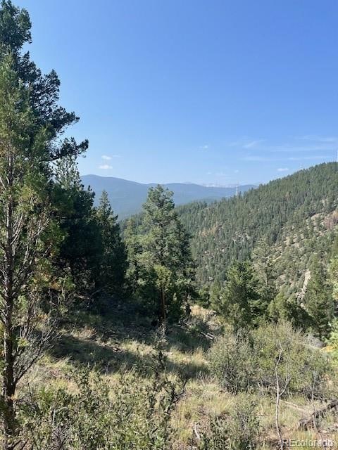 Listing photo 3 for 000 Raven, Idaho Springs CO 80452