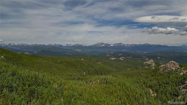 850 Lupine Pl, Black Hawk, CO 80422 - photo 3