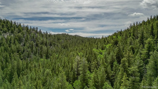850 Lupine Pl, Black Hawk, CO 80422 - photo 4