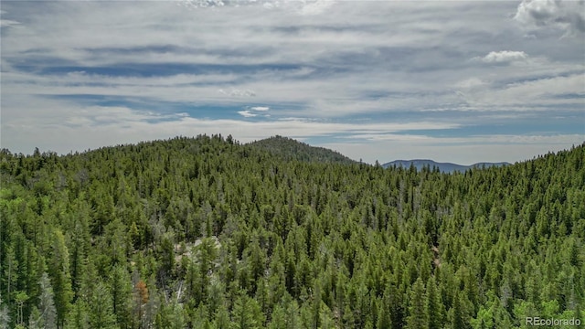 850 Lupine Pl, Black Hawk, CO 80422 - photo 5