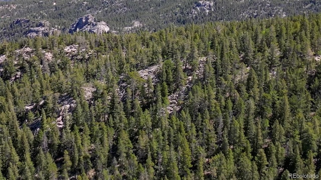 850 Lupine Pl, Black Hawk, CO 80422 - photo 6