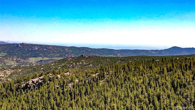 850 Lupine Pl, Black Hawk, CO 80422 - photo 7