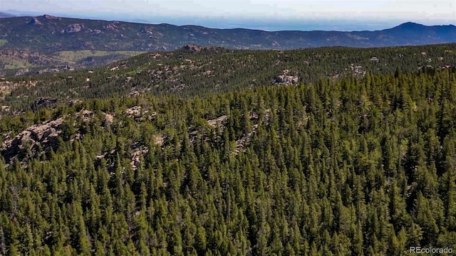 850 Lupine Pl, Black Hawk, CO 80422 - photo 8