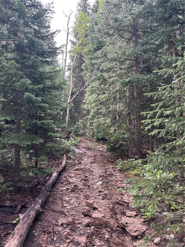 850 Lupine Pl, Black Hawk, CO 80422 - photo 12