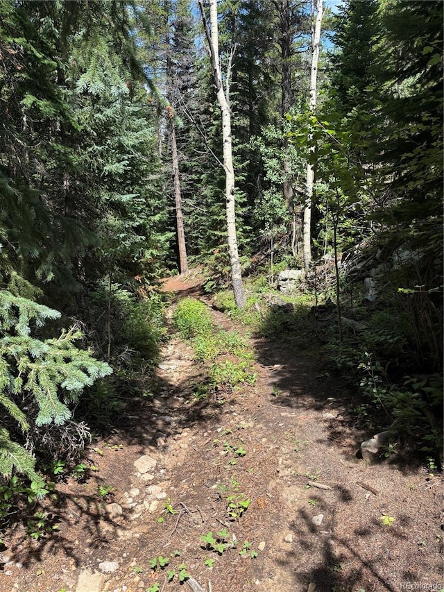 850 Lupine Pl, Black Hawk, CO 80422 - photo 14