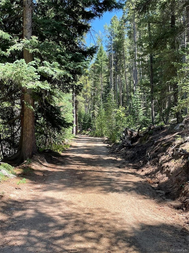 850 Lupine Pl, Black Hawk, CO 80422 - photo 19