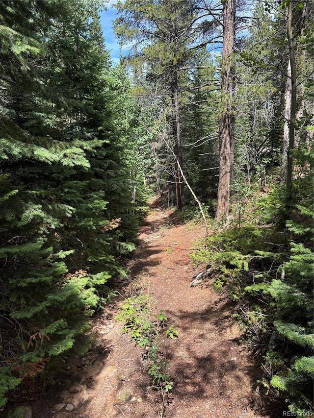850 Lupine Pl, Black Hawk, CO 80422 - photo 20