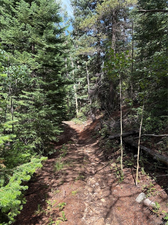 850 Lupine Pl, Black Hawk, CO 80422 - photo 21