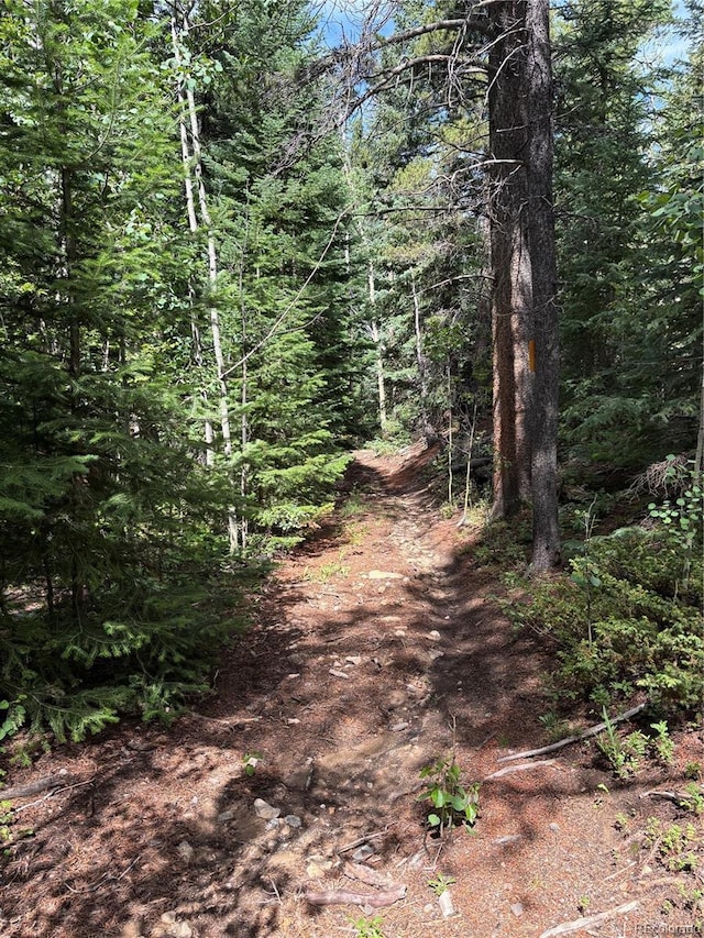 850 Lupine Pl, Black Hawk, CO 80422 - photo 23