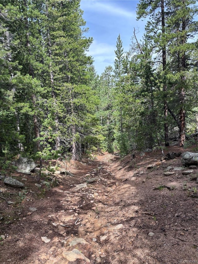 850 Lupine Pl, Black Hawk, CO 80422 - photo 24