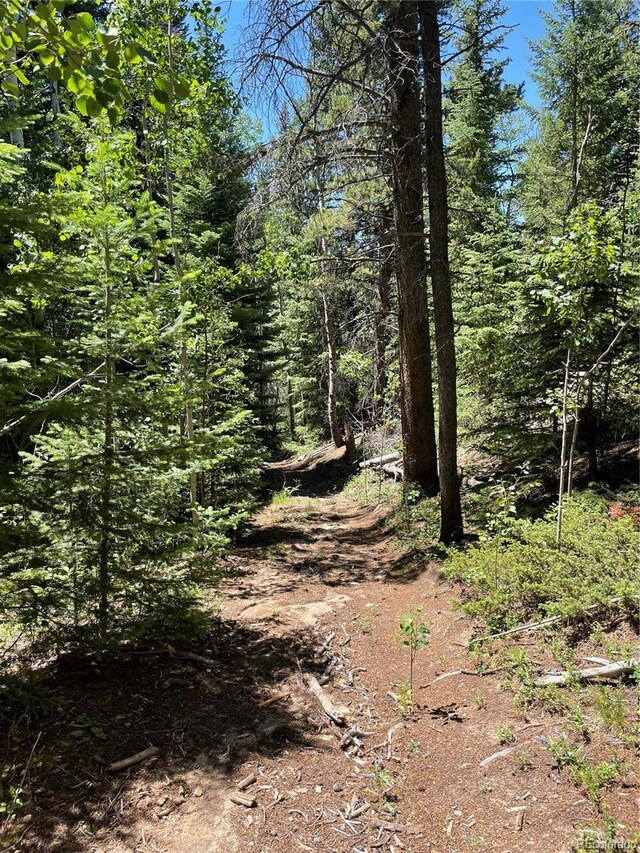 850 Lupine Pl, Black Hawk, CO 80422 - photo 26