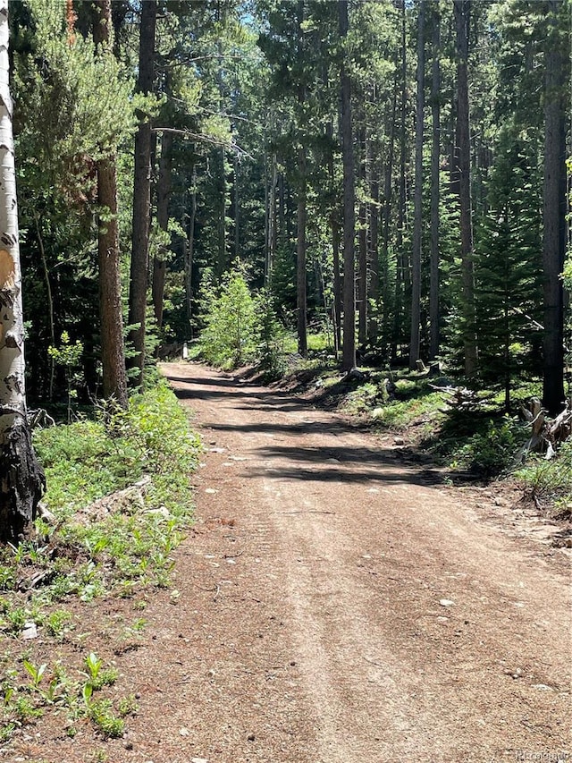 850 Lupine Pl, Black Hawk, CO 80422 - photo 28