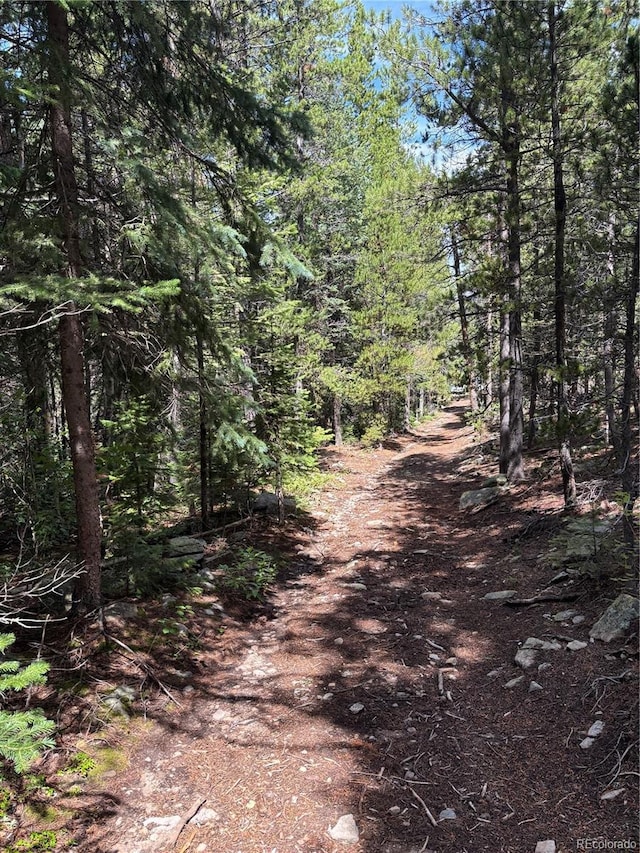 850 Lupine Pl, Black Hawk, CO 80422 - photo 33