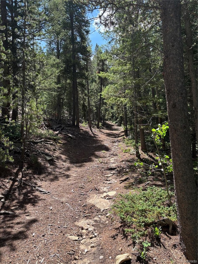 850 Lupine Pl, Black Hawk, CO 80422 - photo 34