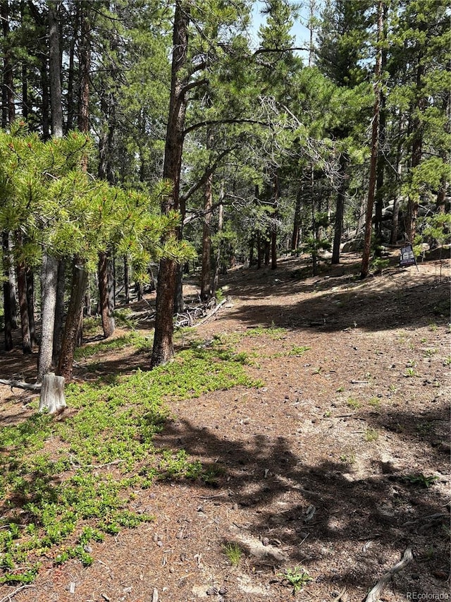 850 Lupine Pl, Black Hawk, CO 80422 - photo 37