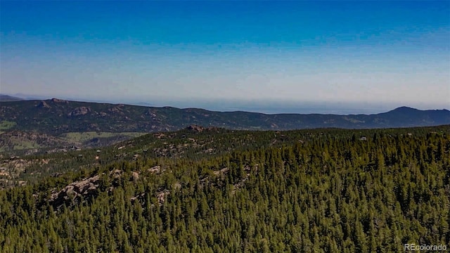 850 Lupine Pl, Black Hawk, CO 80422 - photo 38