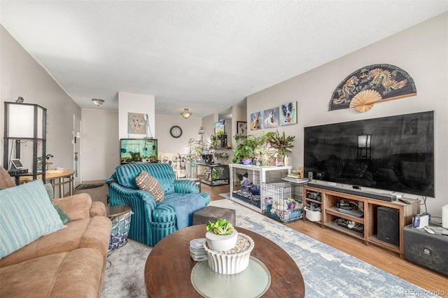 living area with a textured ceiling and wood finished floors