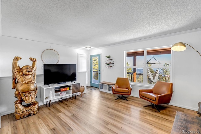 living area featuring a textured ceiling and wood finished floors