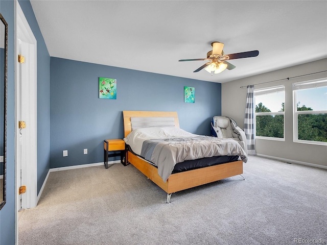 9595 Elk Mountain Cir, Littleton, CO 80125 - photo 21